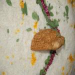 Vraj-Yatra-2014- (922)